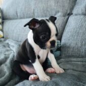 photo_2_2025-06-10_05-23-48