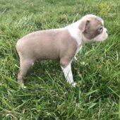 photo_2_2025-06-10_05-23-57