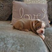 photo_3_2025-06-10_05-24-48