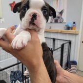 photo_6_2025-06-10_05-25-54