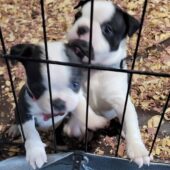 photo_9_2025-06-10_05-25-27