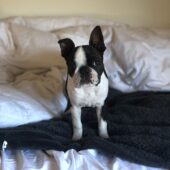 photo_2_2025-06-19_06-29-27