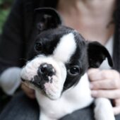 photo_4_2025-06-19_06-26-59